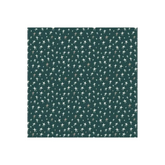 Fabric, Capsules Campsite Midnight Wishes - AGF Art Gallery Fabrics